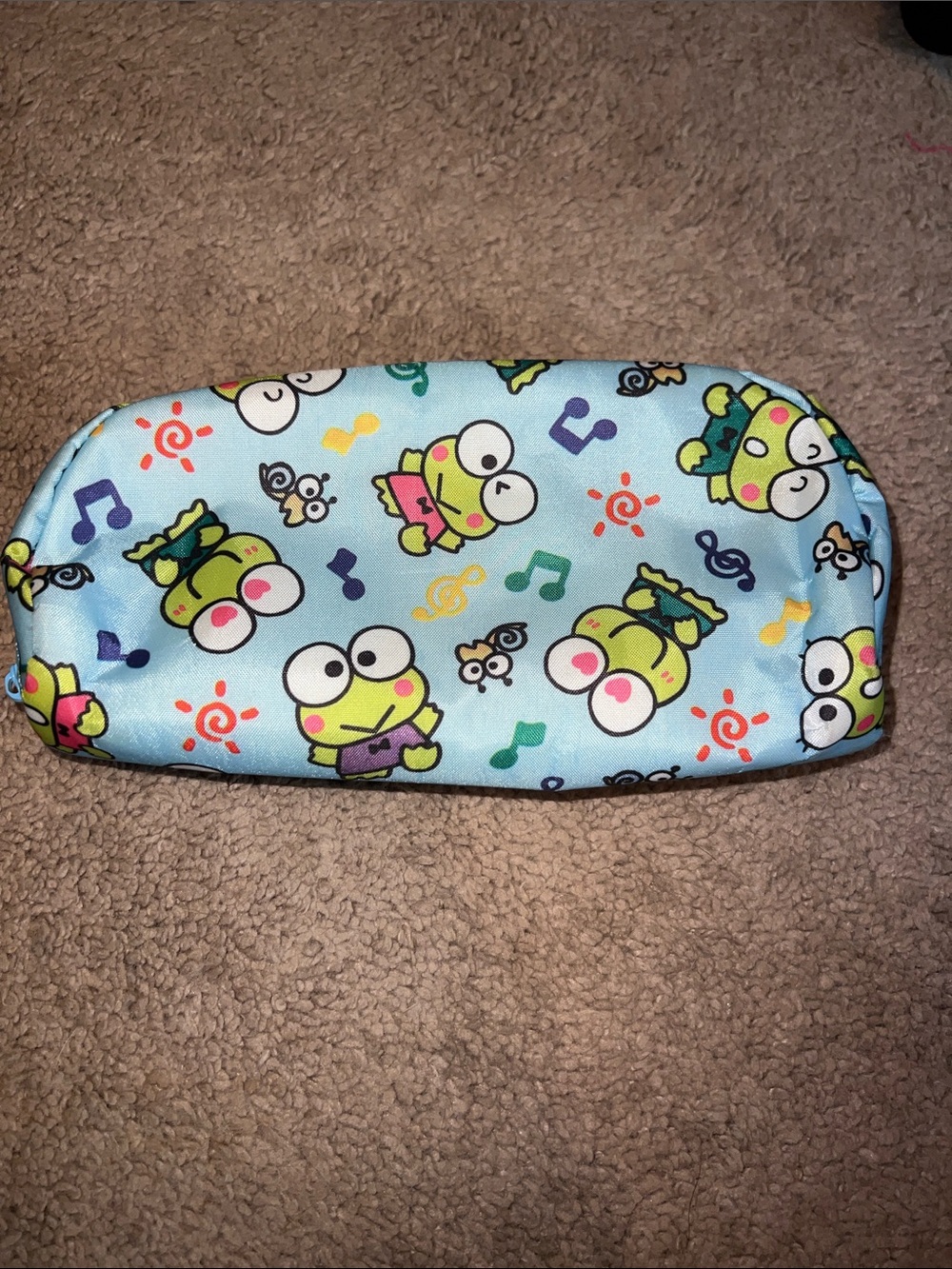 Kids Cute Frog Print Light Blue Pencil Case - Fun Music Design